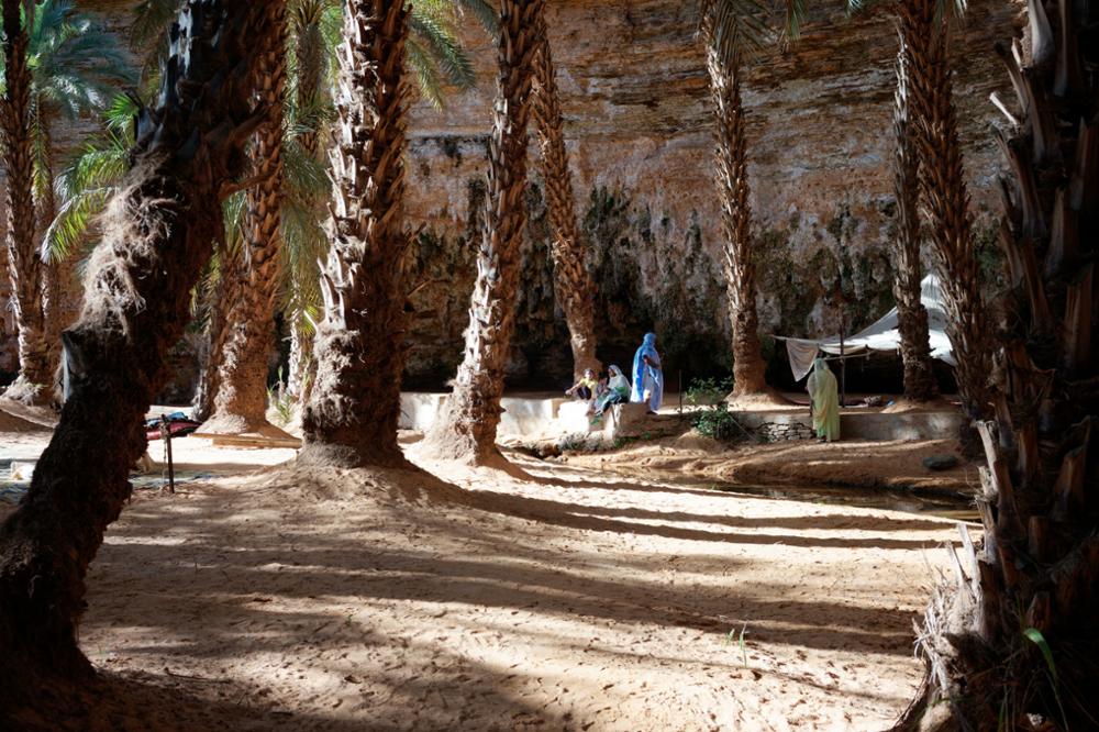 Les plus belles oasis de l'Adrar en Mauritanie