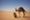 La Mauritanie en un clin d'oeil